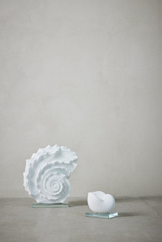 Shella dekoration H9,2 cm. hvid