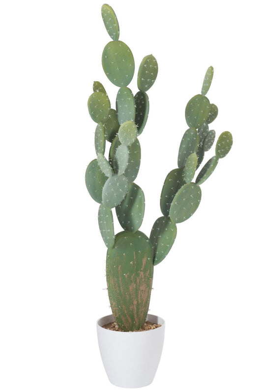 Cactus+pot plast grn/mela whi xl