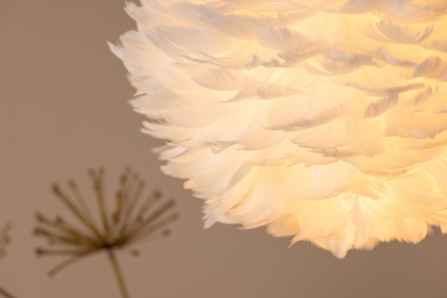 Nicola - Small - Loftlampe, Hvid artificial feather